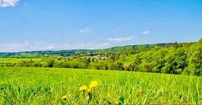 Pronájem Zahrady - 5