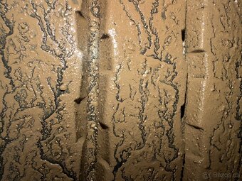 SCHMITZ, LOWDECK,ZVEDAČKA, 2019 - 5