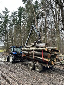 New Holland + Palms - 5