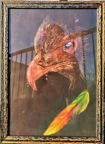 Orel mořský - akvarel, obraz - 5