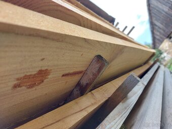 Modřínová prkna - 5