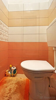 Byt 3+1(73 m2) s gar. a zahr.,Lesonice okr.Třebíč/REZERVACE/ - 5