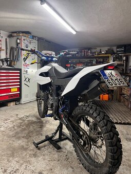 UM DSR 125 EX - 5