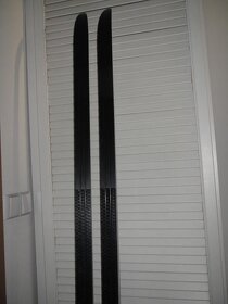 Běžky Tecno Pro Spectrum SC 207 cm - 5
