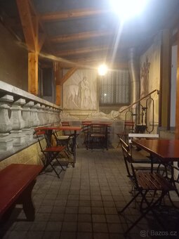 Pronájem zavedené pivnice/nebytovky na Klatovské třídě - 5