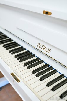 Petrof 117 Chippendale - 5