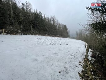 Prodej, les, 89634 m2, Řetová - 5