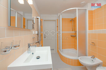 Prodej bytu 3+kk, 89 m², Říčky v Orlických horách - 5