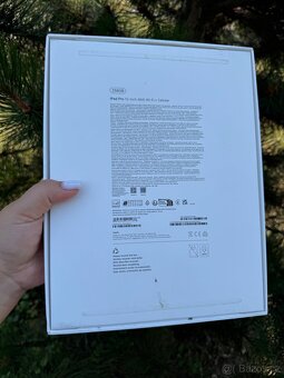 Ipad Pro 13 M4 256gb Cellular - 5