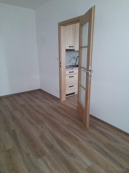 Pronájem bytu 1+1 Sušice - 5