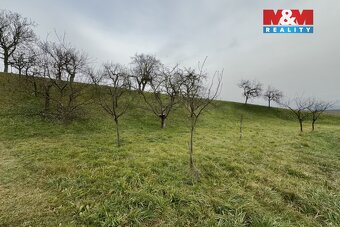 Prodej zahrady, 901 m², Bezuchov - 5