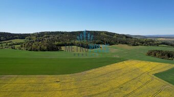 Prodej lesa, 80.000m2, Krámy - 5