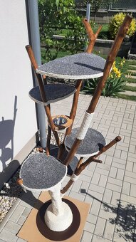 Kocici strom - škrabadlo pro kocky - 5