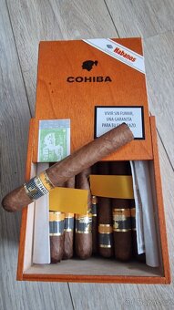 Kubánský doutník Cohiba Siglo VI - box 25ks - 5