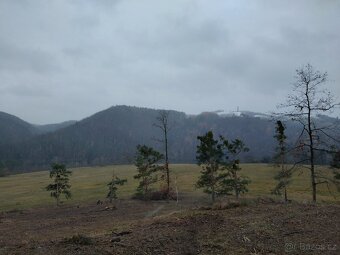 Stavba lesních oplocenek - 5