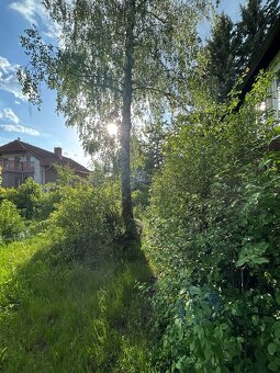 Prodej RD se zahradou v Lounech - 5