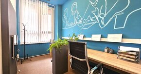 Pronájem, obchodní prostory 155 m², Chrudim - 5