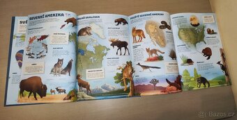 Kniha Světový atlas zvířat - 5