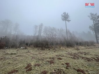 Prodej, les, 20974 m2, Ústí u Staré Paky - 5