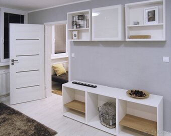 Pronájem vybaveného bytu, po celkové rekonstrukci, 1+1, 40m2 - 5