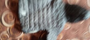 Zimní bunda 110 lupilu - 5