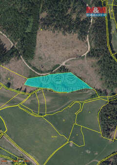 Prodej, les, 10412 m2, Pecka, Vidonice - 5