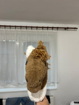 Hobby horse - 5