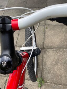 Kolo Specialized.Velikost rámu 19. Vel.(L) - 5