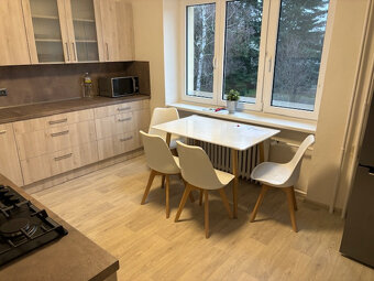 Pronájem bytu 2+1 - 5