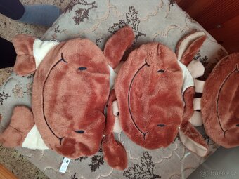 Kapsář-kravička - 5