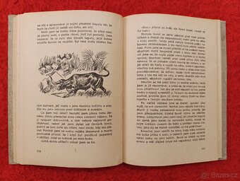 V ŘÍŠI KROKODILŮ A VOLAVEK - Georg Strack - 5