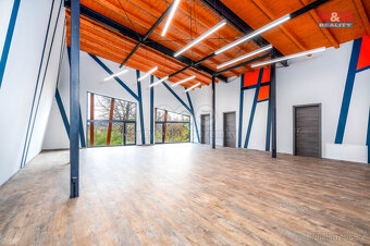 Prodej multifunkčního rodinného domu, 1076 m² - 5