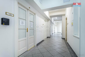 Pronájem kancelářského prostoru, 362 m²,Praha, ul.Opletalova - 5