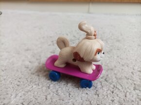Pejsek na skejtboardu - 5