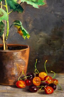 Zátiší s muškáty, H.Friedrich, 375 × 615 mm - 5