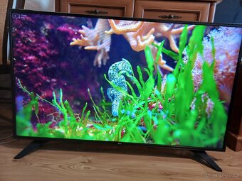 Smart TV LG 49LH6047-uhlopříčka 123cm,wifi, dvbt2 - 5