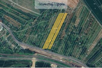 Investujte do pozemků s chatou v malebné lokalitě Drslavice - 5