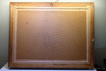 Carabík - Lesní cesta - 5