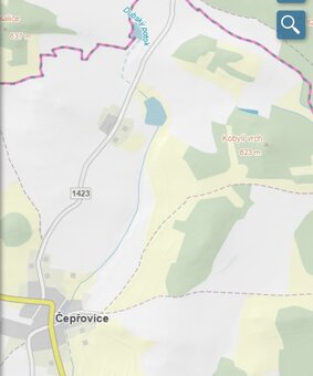 Prodám lesní pozemek Čepřovice - 5