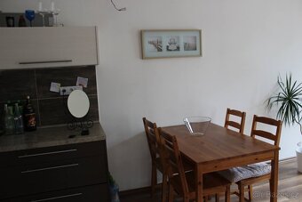 Pronájem bytu - 1kk,Osvoboditelů 1228/32, Lovosice - 5