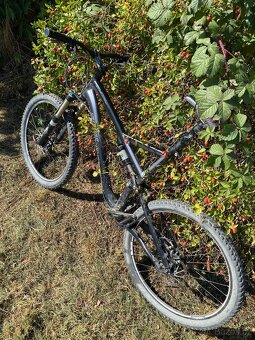 Specialized Stumpjumper - 5