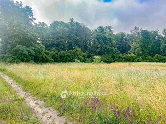 Prodej, Zemědělská půda, 6.905 m2 - Hrabětice, okr. Znojmo - 5