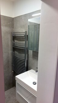 Pronájem nově zrekonstruovaného bytu 1+1 Teplice, Ruská - 5