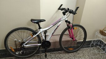 Dívčí kolo Author 26 - 5