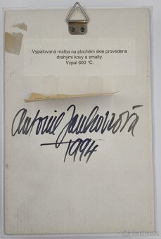 Krásný Obraz - Antonie Jankovcová - 5