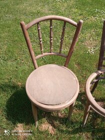 Židle bukové dřevo - 5