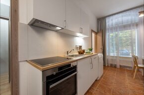 Vymenim/prodam apartman v Jachymove (skiareal Klinovec) - 5