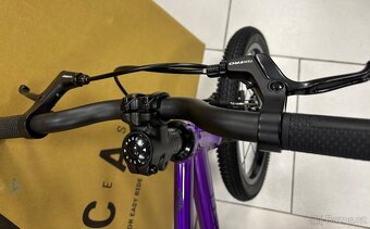 Rascal 16 LTD - 5