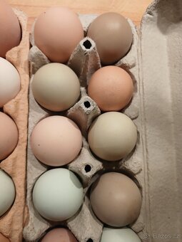 Násadová vejce - 5