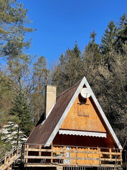 Útěk z města: romantická chata pod lesem jen 60 min od Prahy - 5